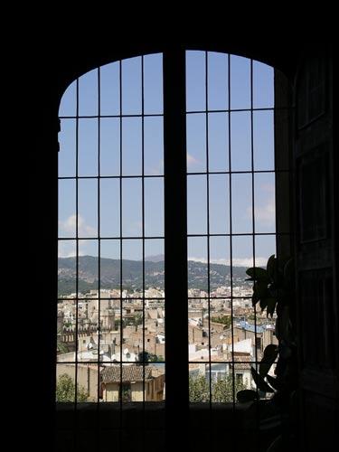Palma 13.jpg